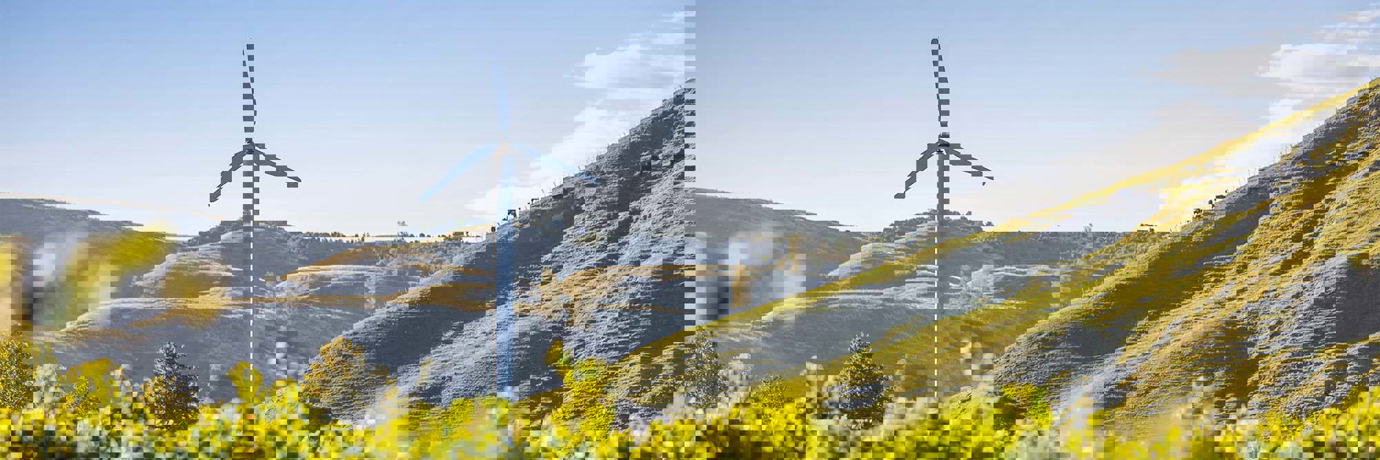 Doing Business in New Zealand Guide 2025 Desktop Image