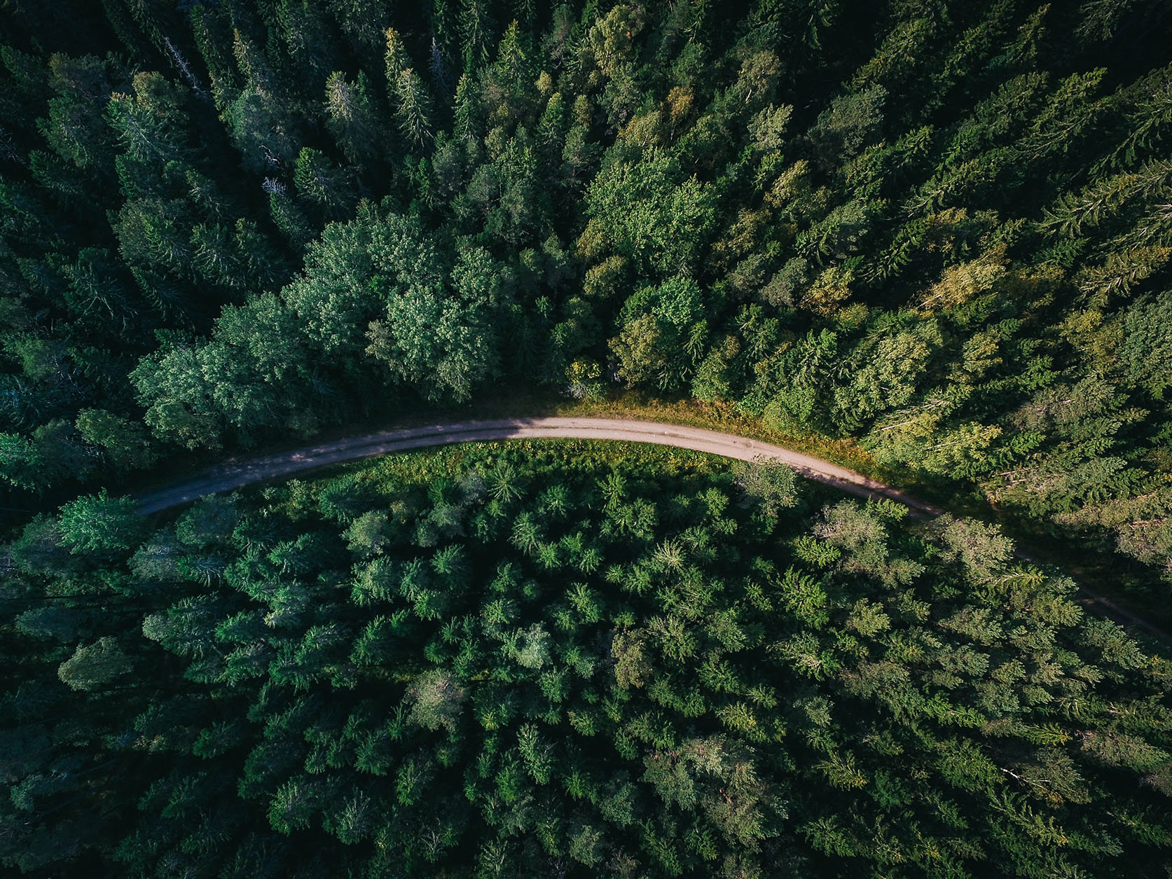 Changes announced to commercial forestry regulations Mobile Image