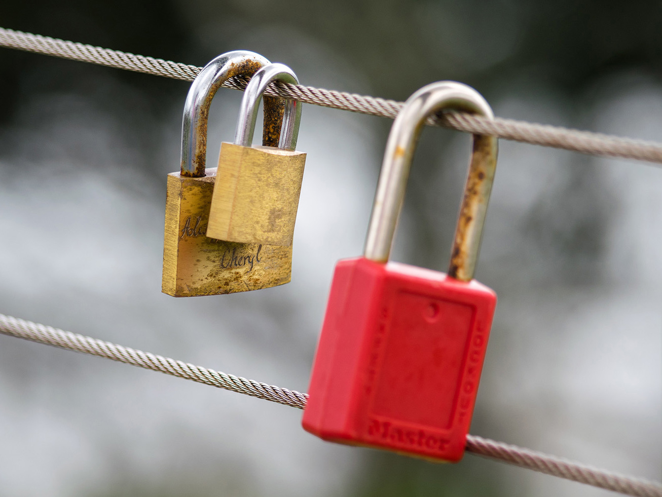 Addressing modern slavery: What New Zealand businesses should know Mobile Image