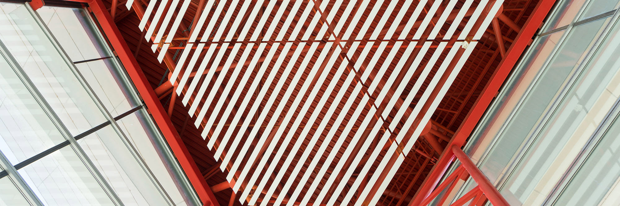 High Court declares Bachcare terms unfair Desktop Image