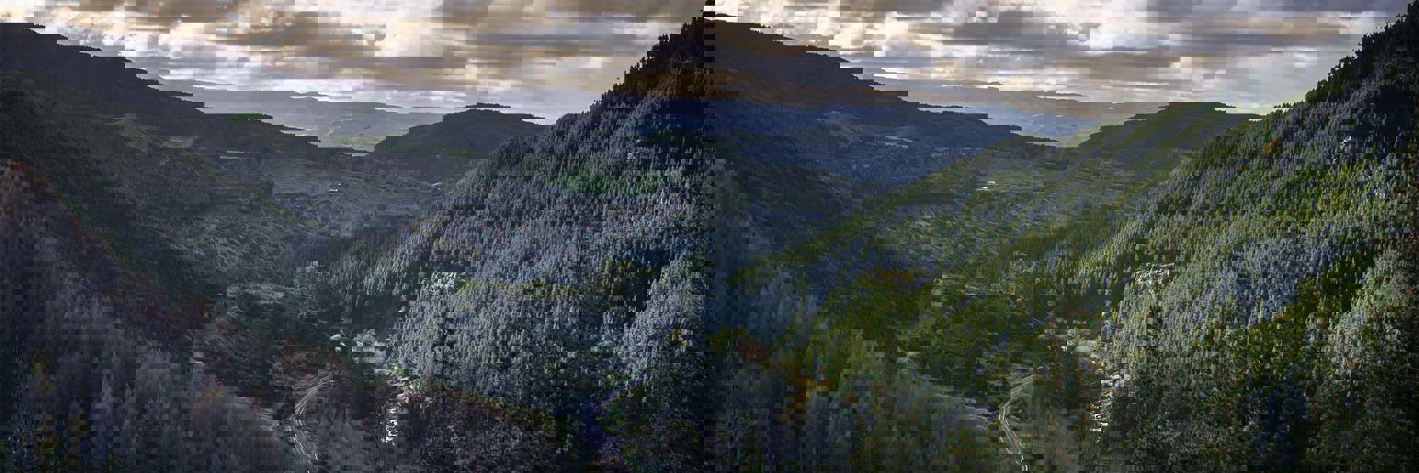 Change is coming: Regulatory reviews in the works Desktop Image