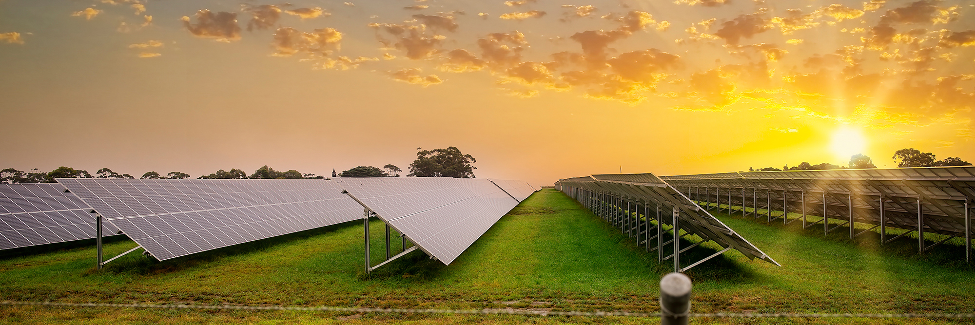 Scaling up solar: What New Zealand can learn from Australia's experience Desktop Image