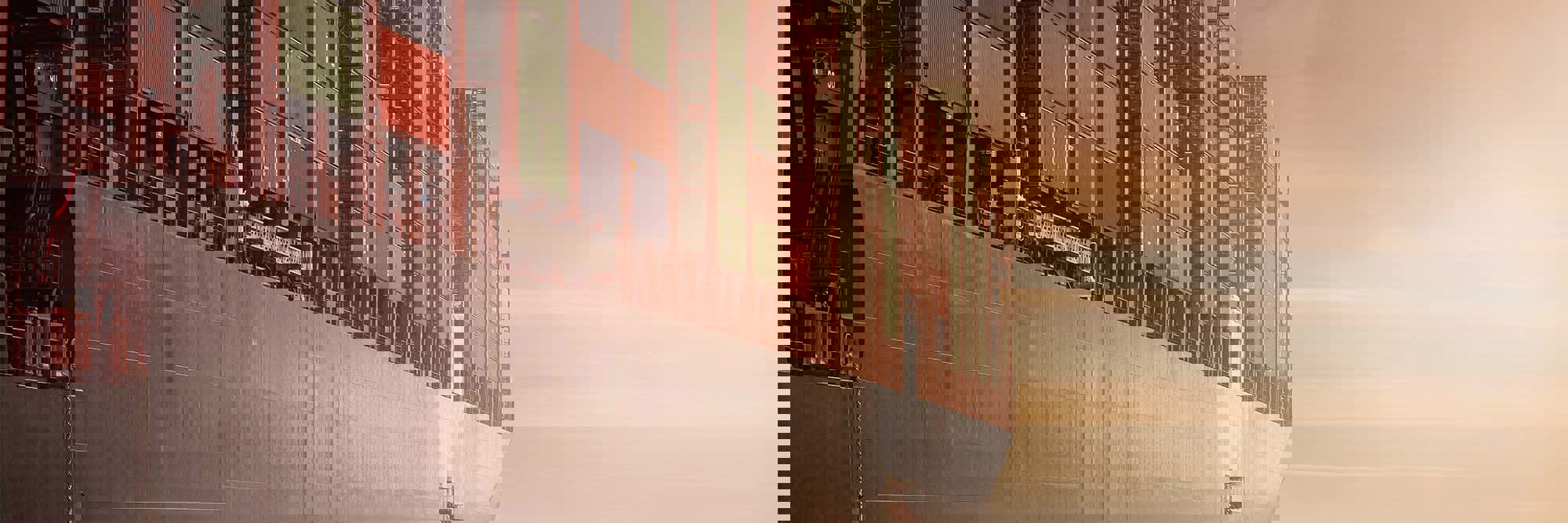 New Zealand-India Free Trade Agreement: What businesses need to know now Desktop Image