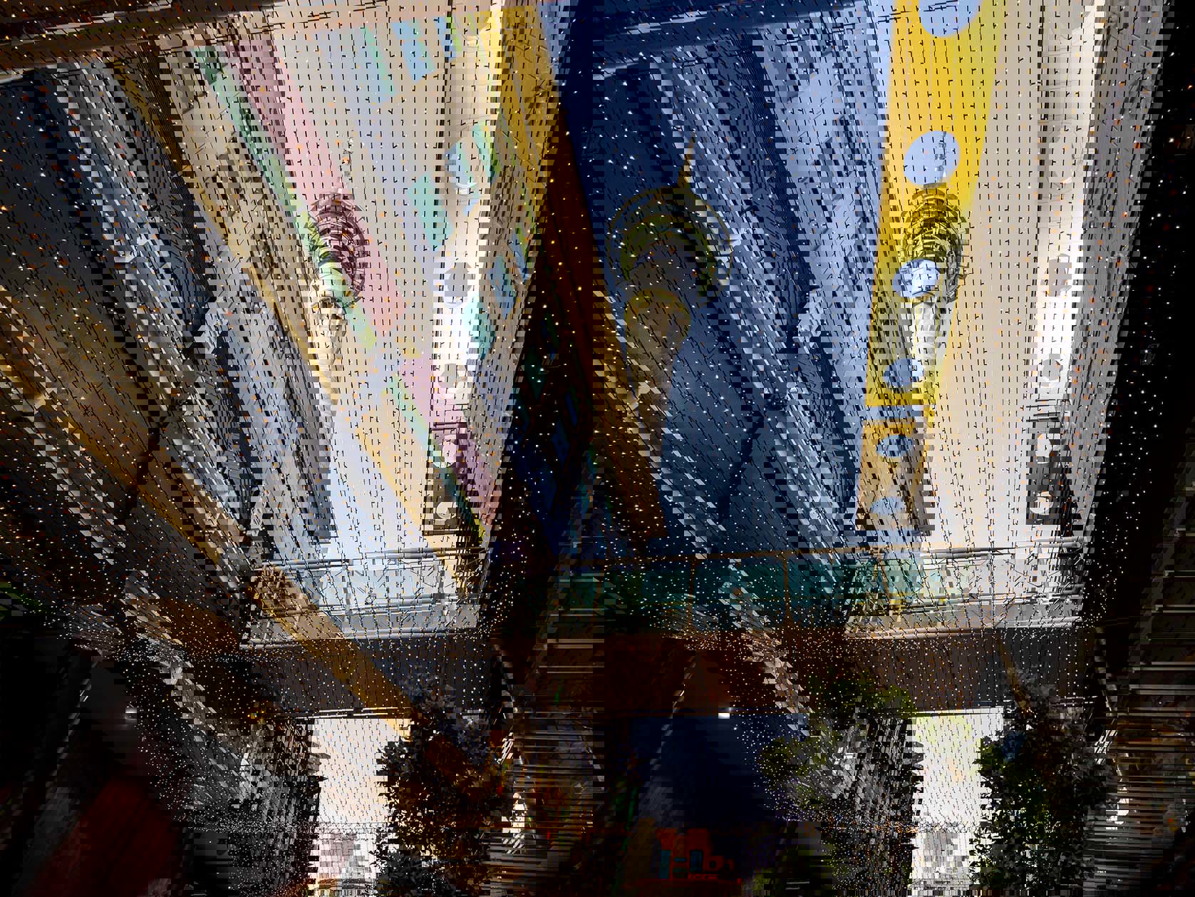 CoFI’s deep roots: A hot topic for 2026 Mobile Image