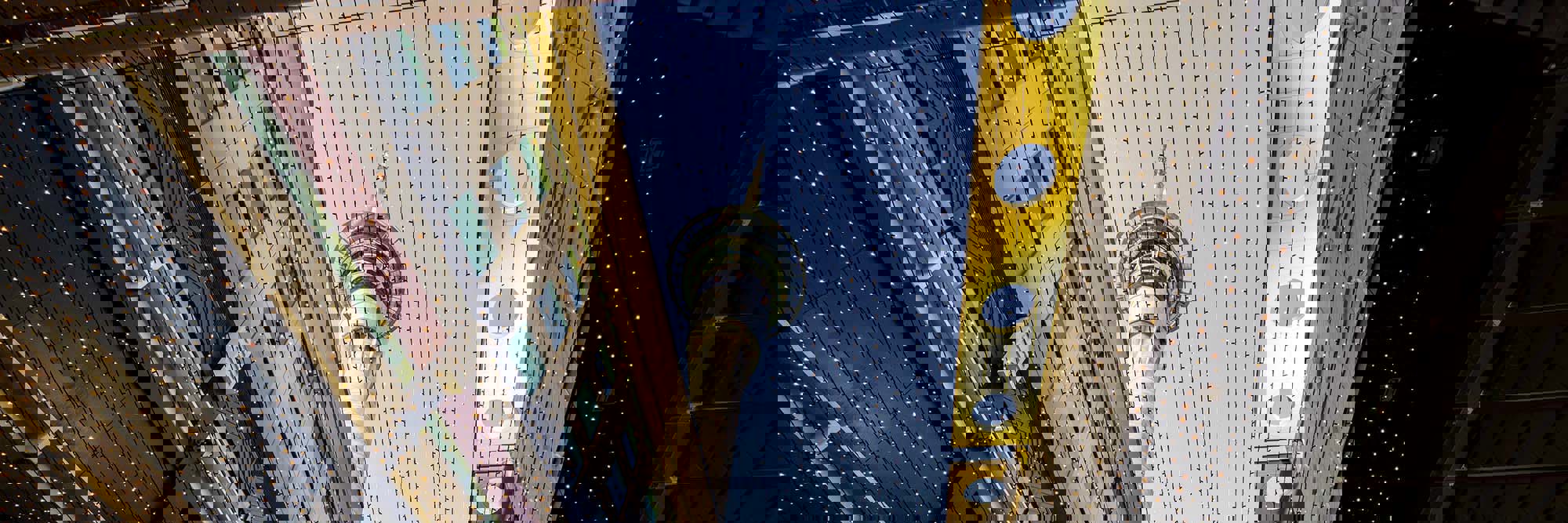 CoFI’s deep roots: A hot topic for 2026 Desktop Image