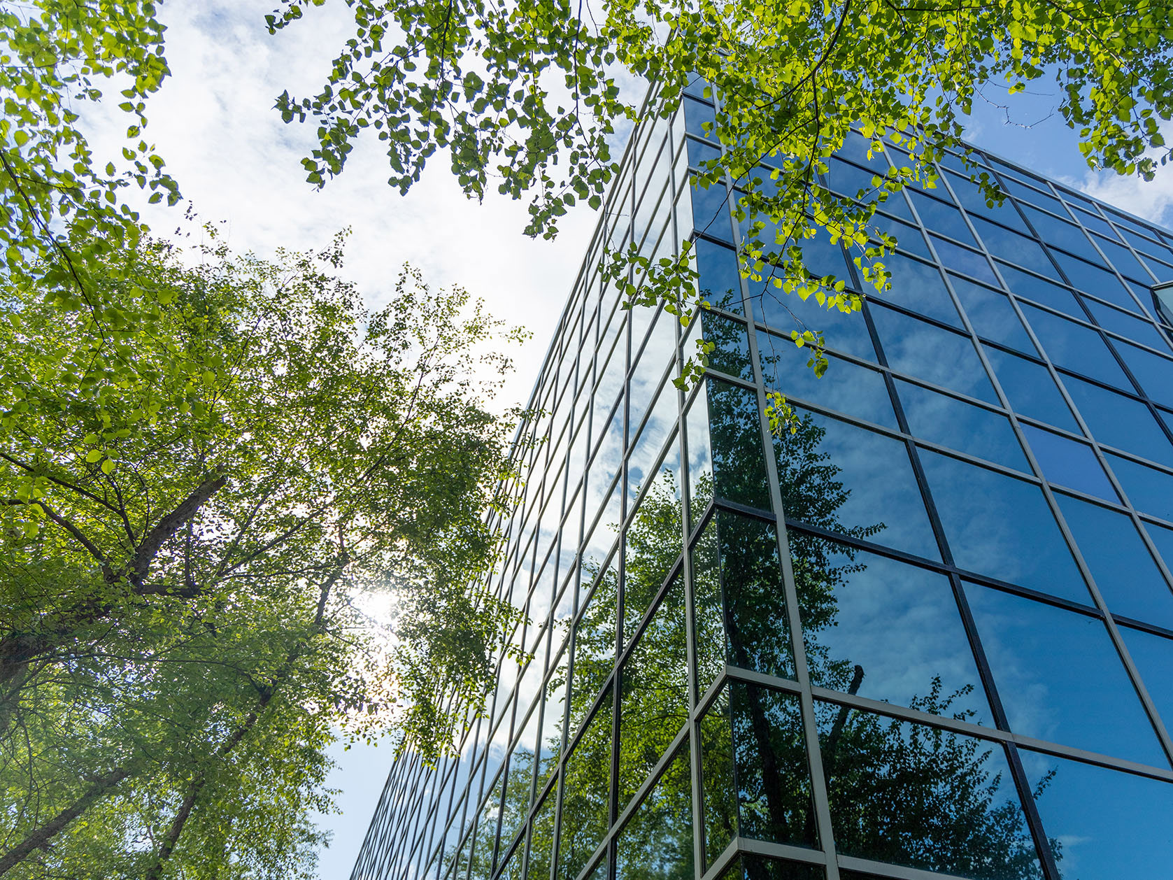 FMA opens consultation on potential class exemption for certain green, social, sustainability and sustainability-linked bonds Mobile Image