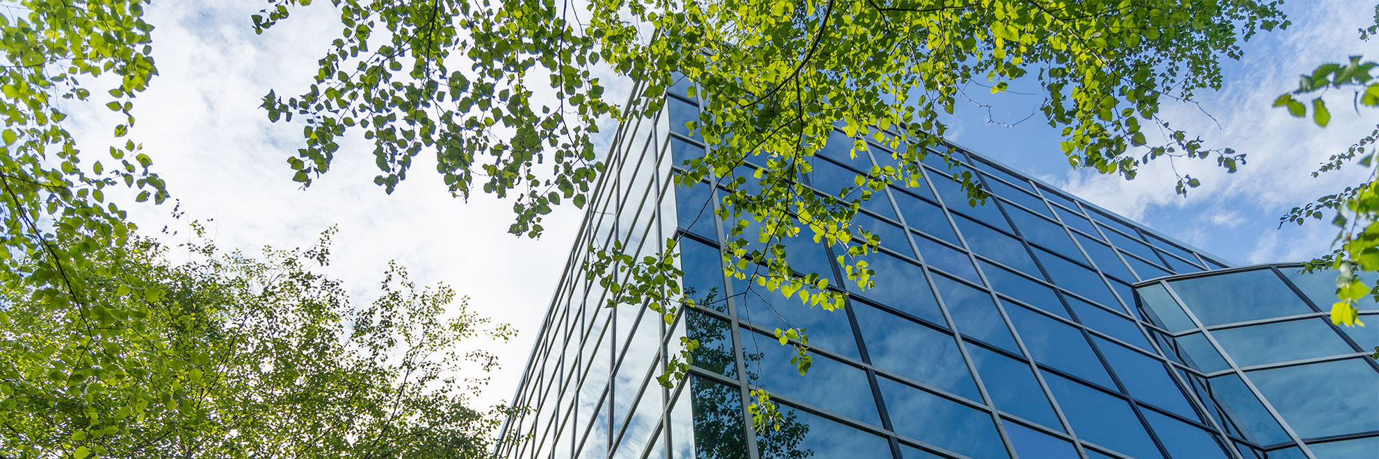 FMA opens consultation on potential class exemption for certain green, social, sustainability and sustainability-linked bonds Desktop Image