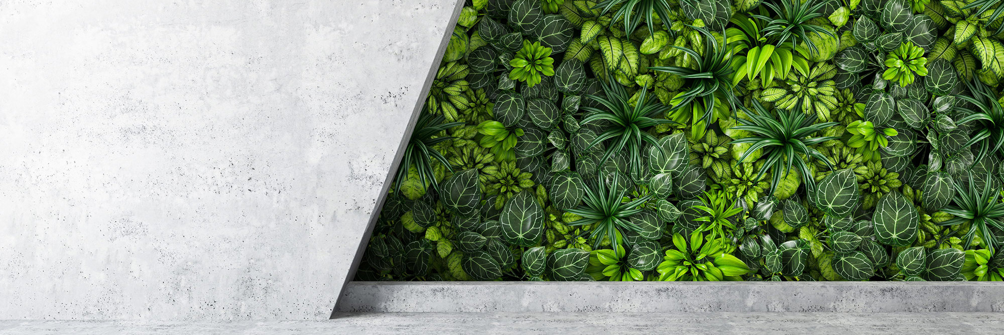 Greenwashing: Guidance to reduce the risks Desktop Image