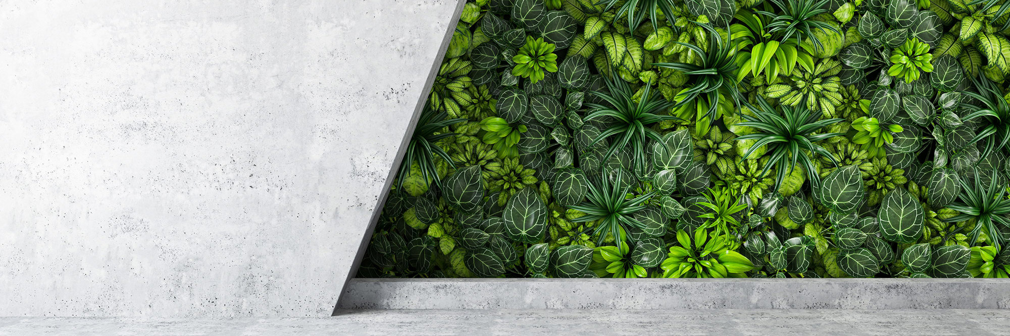 Proposed changes to coverage of climate reporting entities and liability provisions Desktop Image