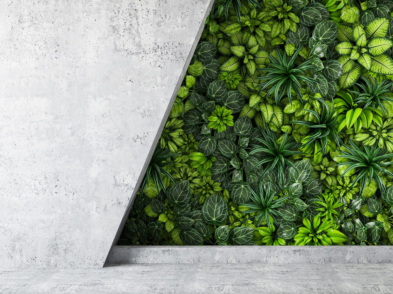 Greenwashing: Guidance to reduce the risks Mobile Image