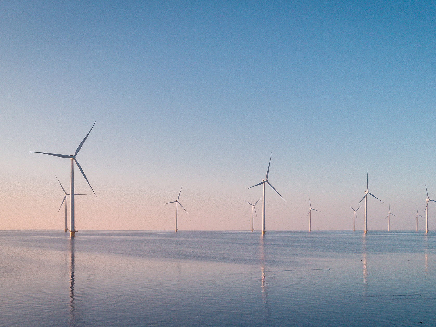Harnessing our potential: BlueFloat Energy’s vision for offshore wind in New Zealand Mobile Image