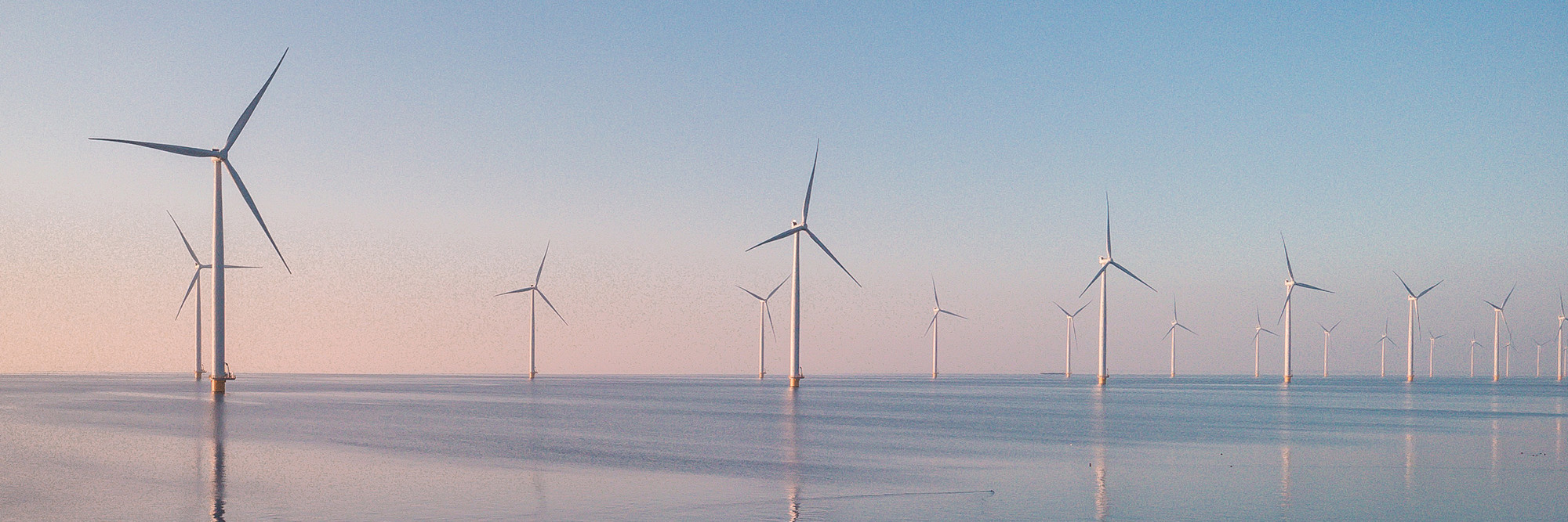 Power Purchase Agreements in New Zealand: A tool for enabling decarbonisation Desktop Image