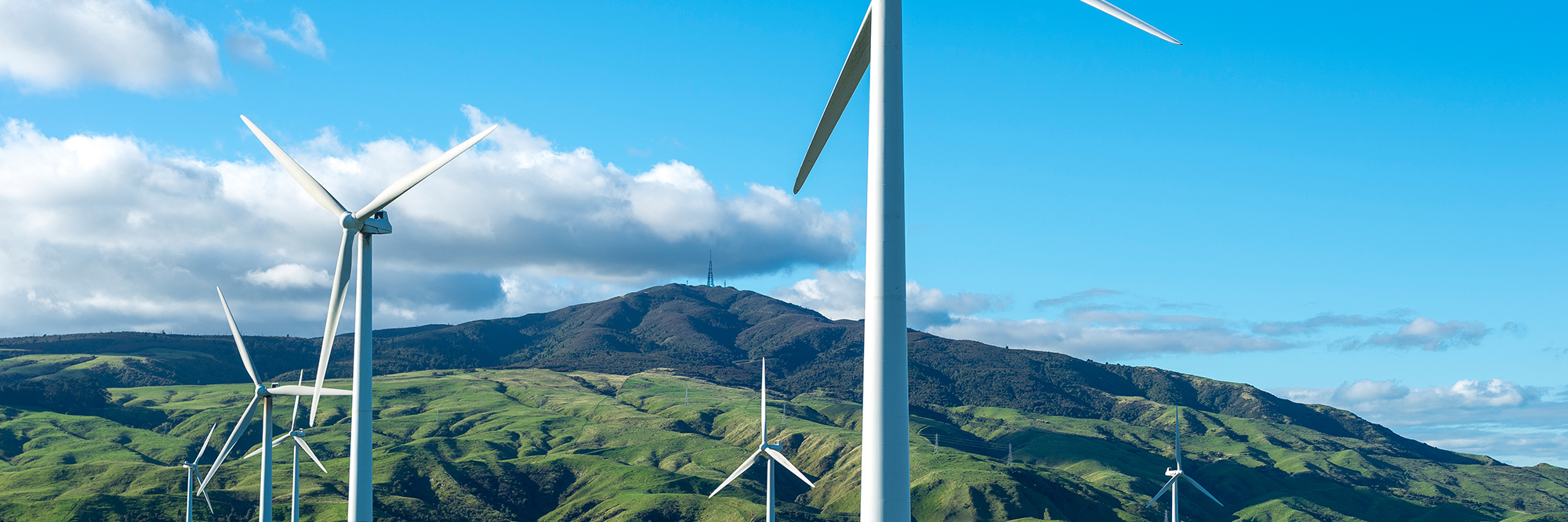 Successful implementation of sustainability principles across the Construction and Infrastructure sector Desktop Image