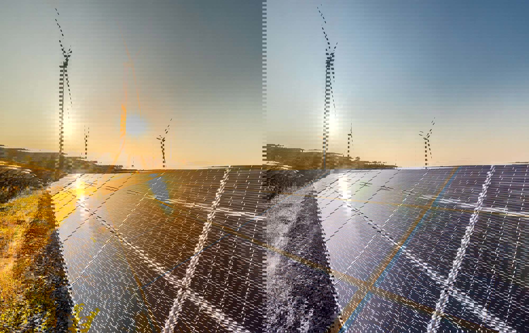 Solar energy and modern slavery Mobile Image